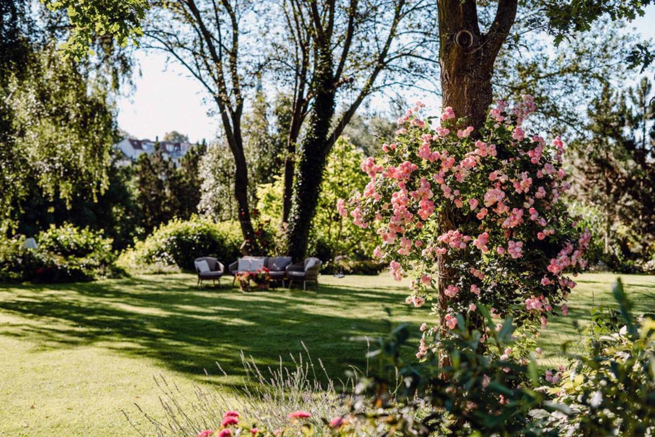 Ferienwohnung Radeberg Dış mekan fotoğraf